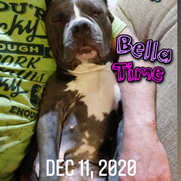 Meet your Posher, Cupcake - Picture 3 of 4